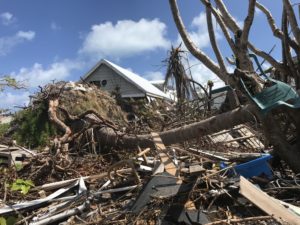 Uprooted trees and damaged homes on Green Turtle Cay, Bahamas following Hurricane Dorian