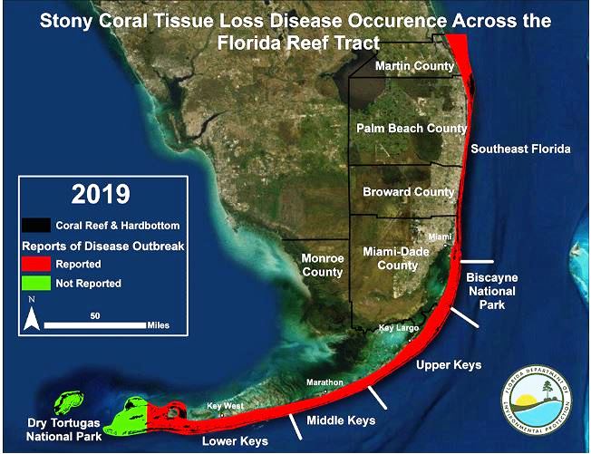 Stony coral tissue loss disease map