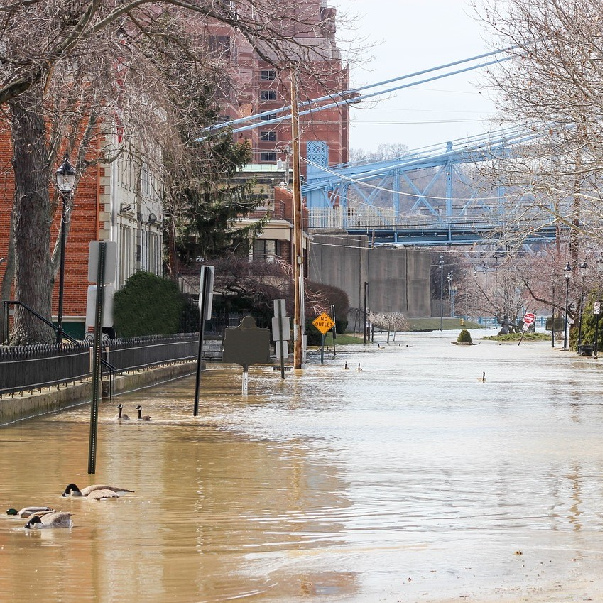 Urban Flooding on the Rise – Lisa Miller Associates