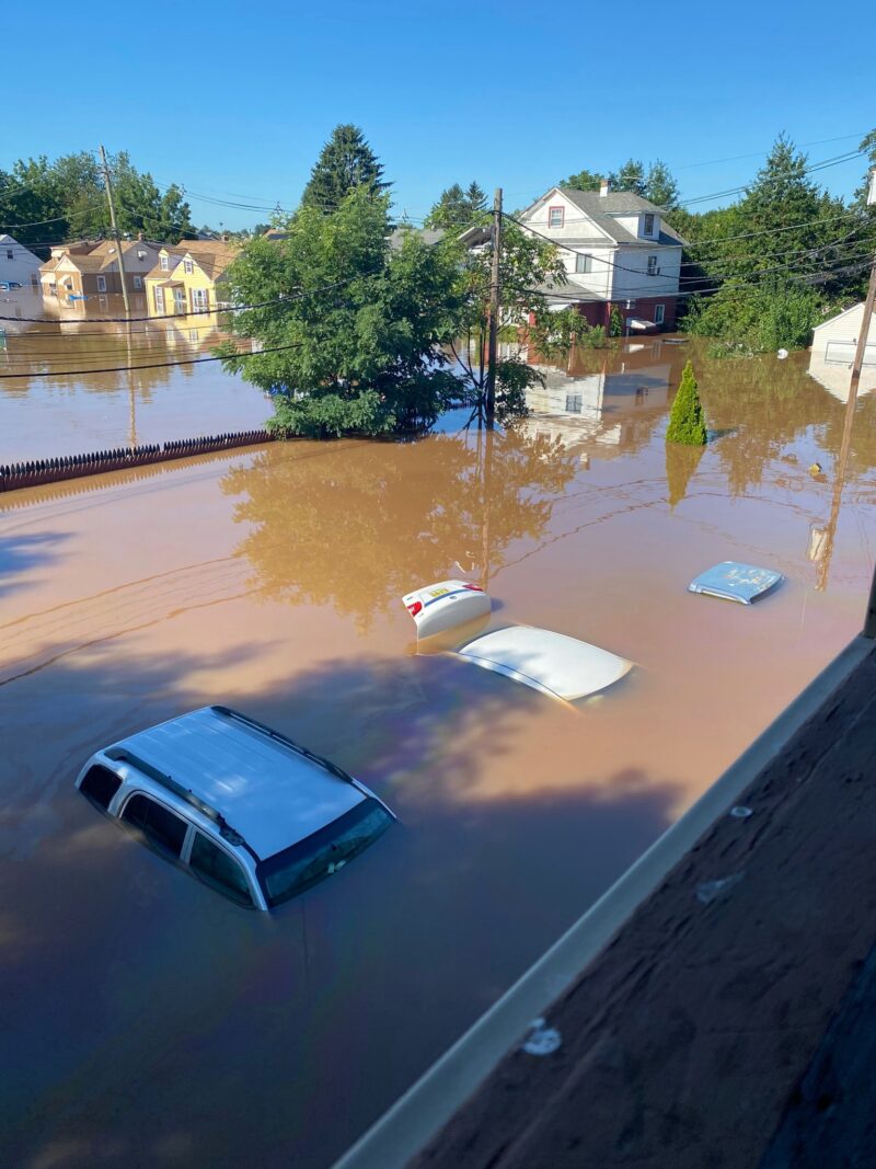 Ida’s September Surprise Lisa Miller Associates