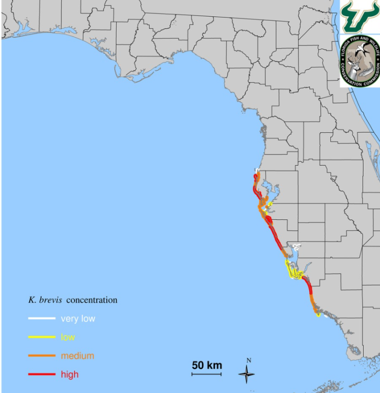 Red Tide Coastal Forecast Map from USF and Florida FWC (March 3623