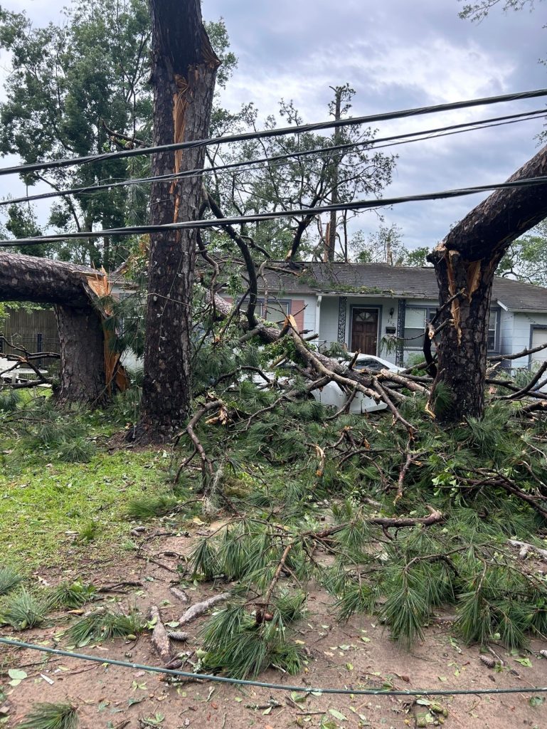 Tallahassee Tornados Cleanup Continues – Lisa Miller Associates