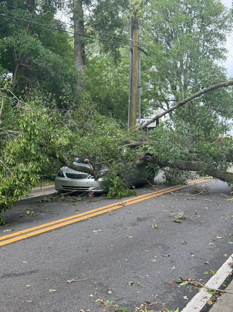 All Hurricanes Are Local Lisa Miller Associates